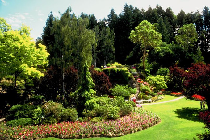 Rockhampton Elite Landscaping