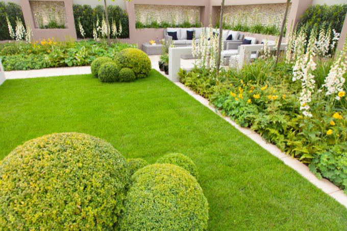 Landscaping Rockhampton Elite