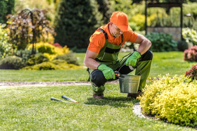 Landscaping Rockhampton Elite