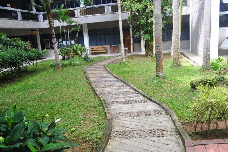 Curved timber boardwalk path through a landscaped courtyard garden