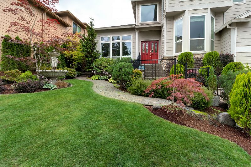 Frontyard landscaping project