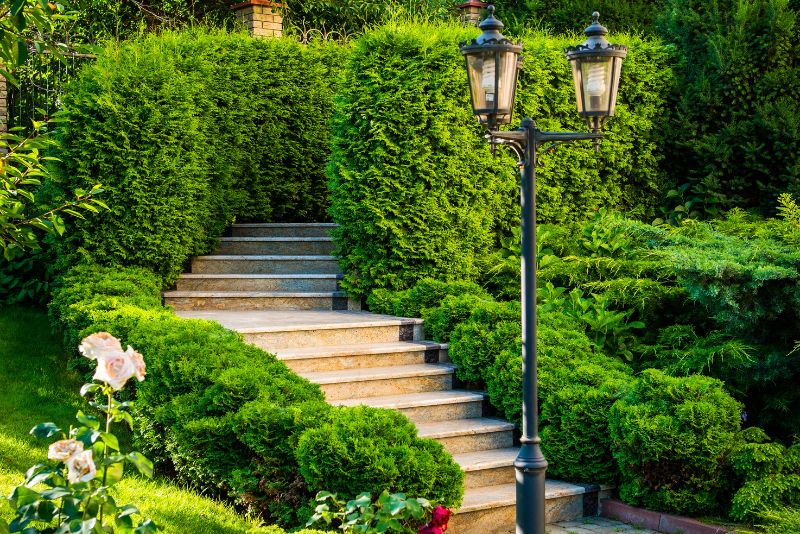 Garden staircase framed by tall hedges
