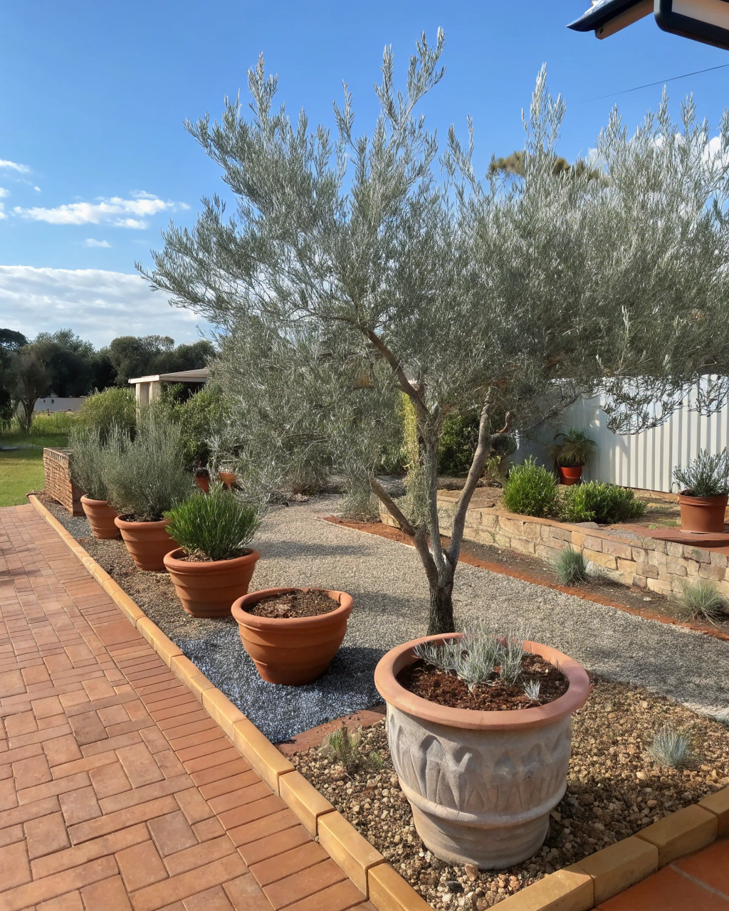 Mediterranean-style garden design suited to Central Queensland conditions